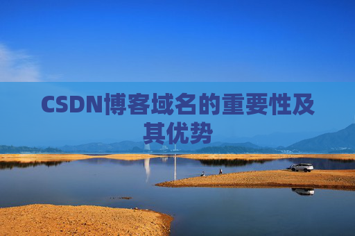 CSDN博客域名的重要性及其优势